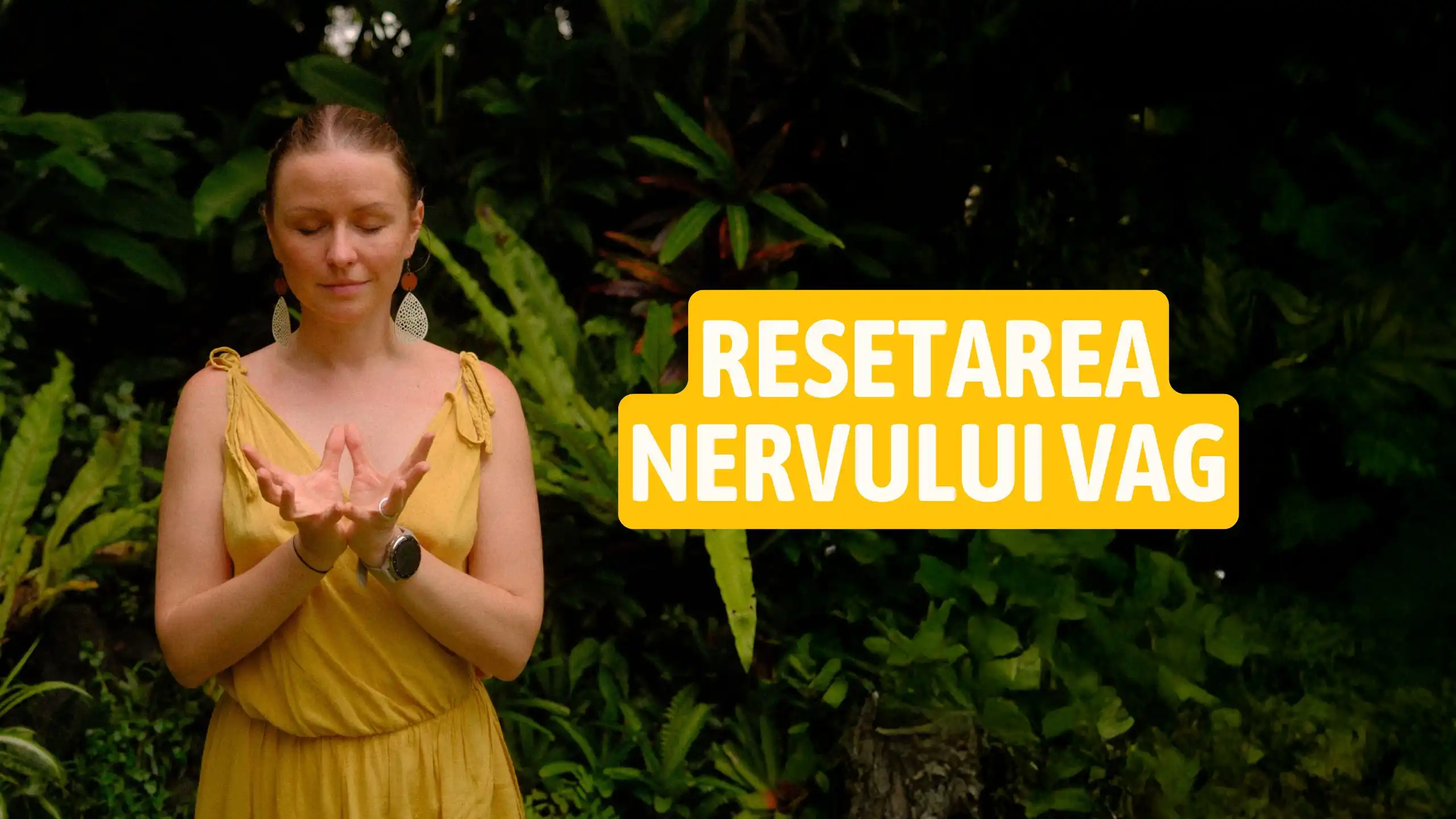 Resetarea Nervului Vag: Relaxare și Echilibru
